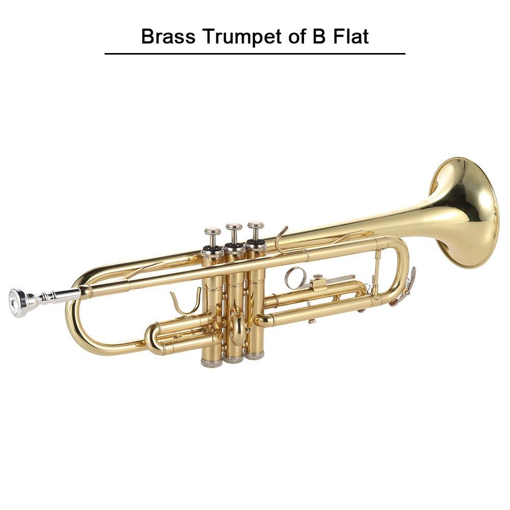 Juspins Trumpet Bb Flat, Brass Gold Finish, Exquisite and Durable Instrument with Mouthpiece, Gloves, Strap, and Case