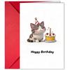 10 Cartoon Birthday Card Envelopes Set With A Variety Of Creative Birthday Greeting Cards