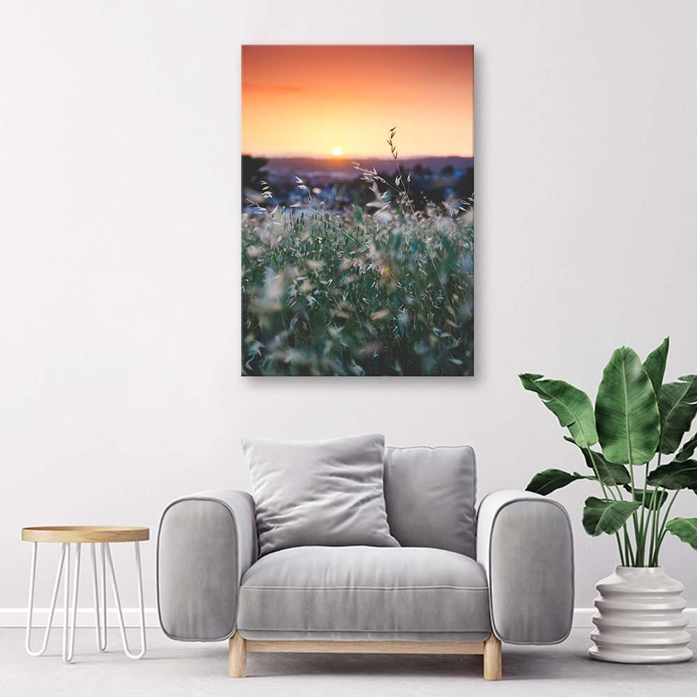 Canvas Print, Meadow and Sunset