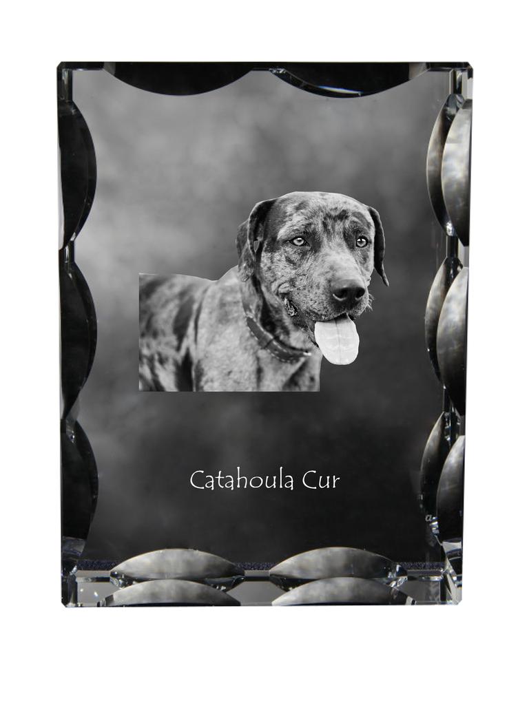 Catahoula Leopard Dog, Catahoula Cur - crystal with a picture of a dog, glass statuette with a picture, unique frame with a picture from Art-Dog brand