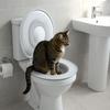 Многоразовый кошачий лоток Устойчивый тренажер для гигиены питомца Практичный тренажер для кошачьего туалета Бытовой