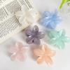 Bofeiya Plumeria Candy Color Hair Clip - Cute and Sweet Heart-Shaped Hair Accessory for Girls