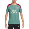Мужская зеленая футбольная форма Liverpool Dri-FIT ADV FN9260-362