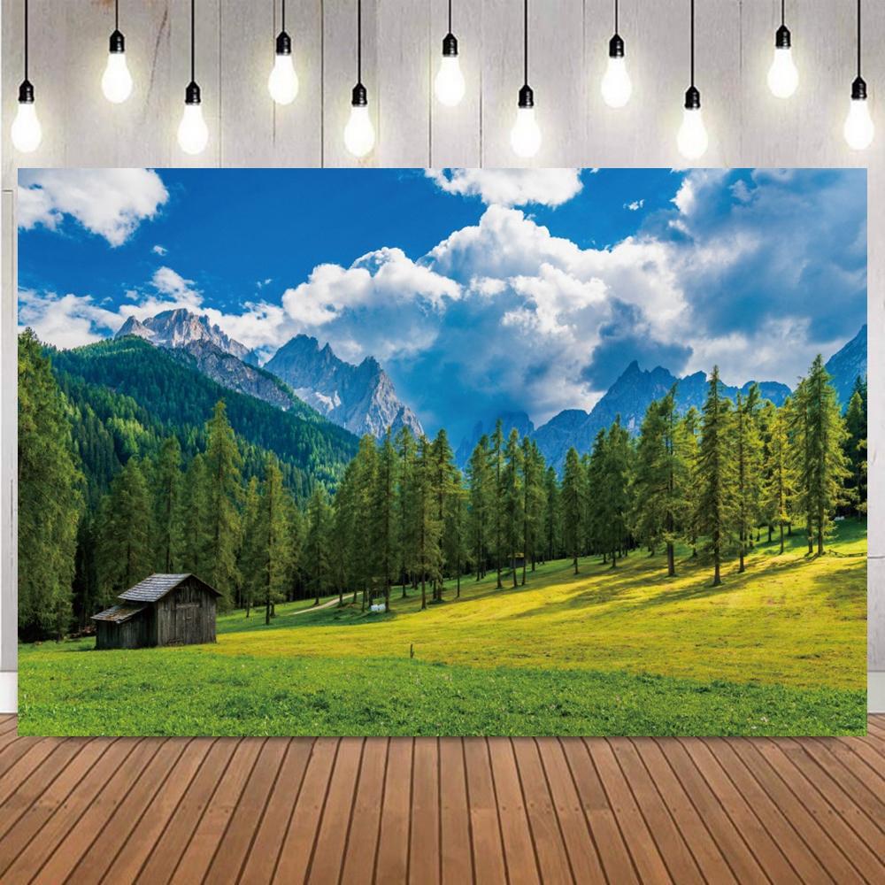 Spring Mountain Forest River Scenery Photo Backdrop Nature Landscape Portrait shooting Home Decor Photography Background5