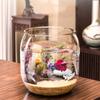 Transparent Landscape Fish Tank Ultra Clear Fish Bowl Ecological Tank  Living Room
