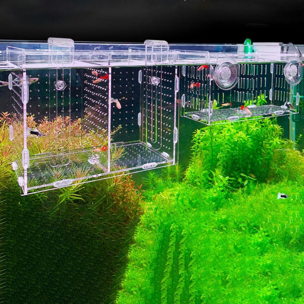 Для мальков аквариумные принадлежности инкубатор инкубатор ящик для разведения рыб ящик для разделения рыб