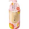 Ichigami Dense W Увлажняющий уход Sp Парфюм 450 мл Kracie Home Products
