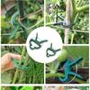 20Pcs Plant Fixed Clips Reusable Garden  Greenhouse Bracket for Fixed Plants Vine Flower  Seedling Stem Suppor T Garden Supplies