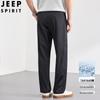 Мужские повседневные брюки прямого кроя JEEP SPIRIT