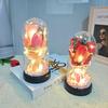 Eternal Flower Glass Cover Lamp Soap Flower Acrylic Cover Valentine Day Gift For Girlfriend Mothers Day Wedding Bridesmaid Gift