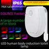 LED Toilet Motion Sensor Night Light - Creative Hanging Atmosphere Light, Intelligent Human Body Induction, Popular Sale.