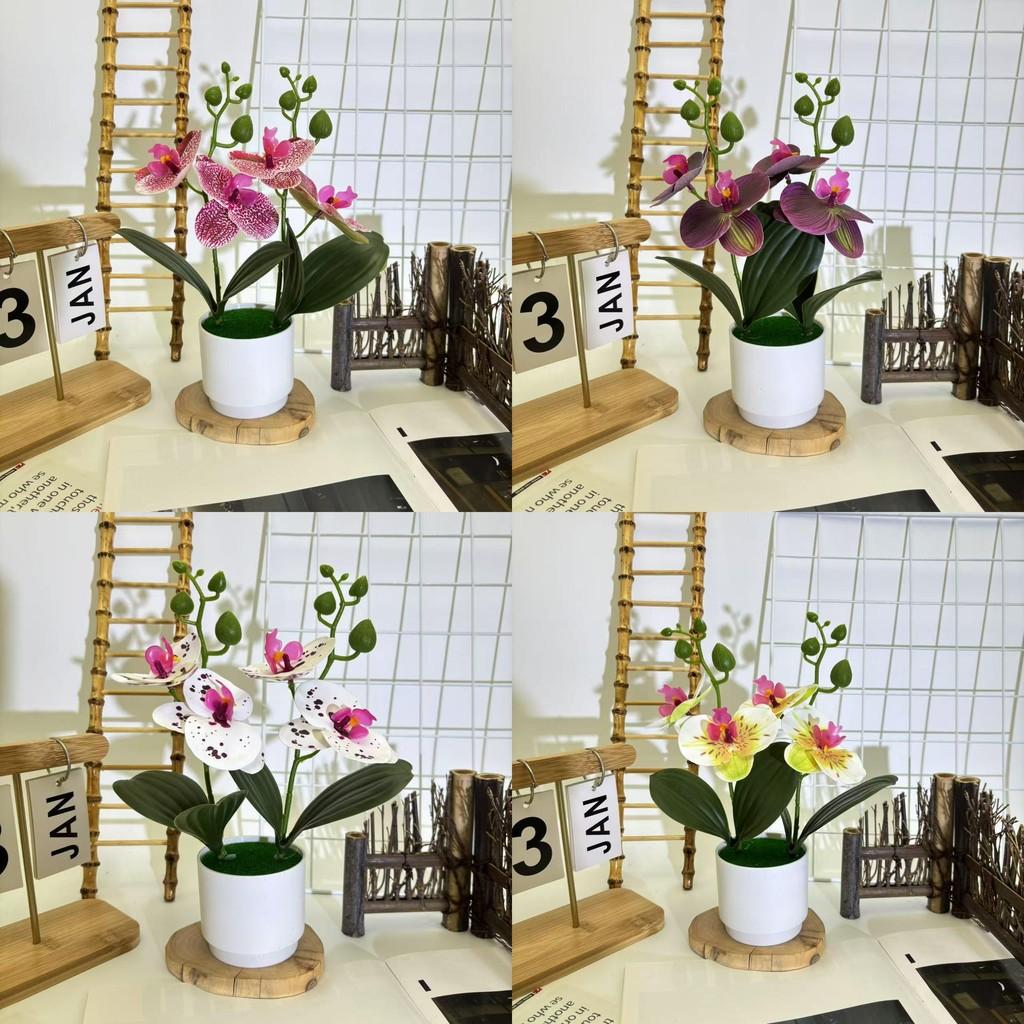 Butterfly Orchid Imitation Flower Set For Home Interior And Outdoor Garden Decoration