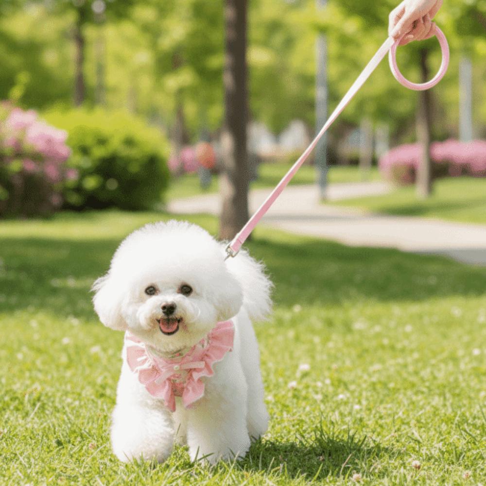 Adjustable Dog Harness and Leash Breathable Cat Harness Vest No Pull Pet Walking Rope  Pet Supplies