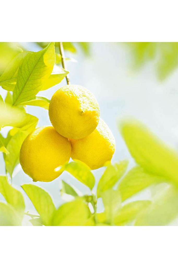 WELEDA Цитрусовое молочко для ванны Тоник для ванны для утреннего освежения Цитрусовый Натурального происхождения Органический [Официальный] 200 мл, Принятие ванны, Освежающий, Аромат, Ингредиенты,