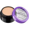 Ultimate Camouflage Cream Concealer - 