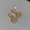 2026 New Trend French Pearl Zircon Hoop Earrings for Women Delicate Summer Fashion Ball Dangle Earring Jewelry Gifts