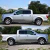 x318 - Ideal for Raptor F150 side decals and personalized car waistline and body stickers.