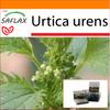 Сад в сумке - Собачья крапива - 150 семян - С субстратом в подходящем стоячем мешке - Urtica urens