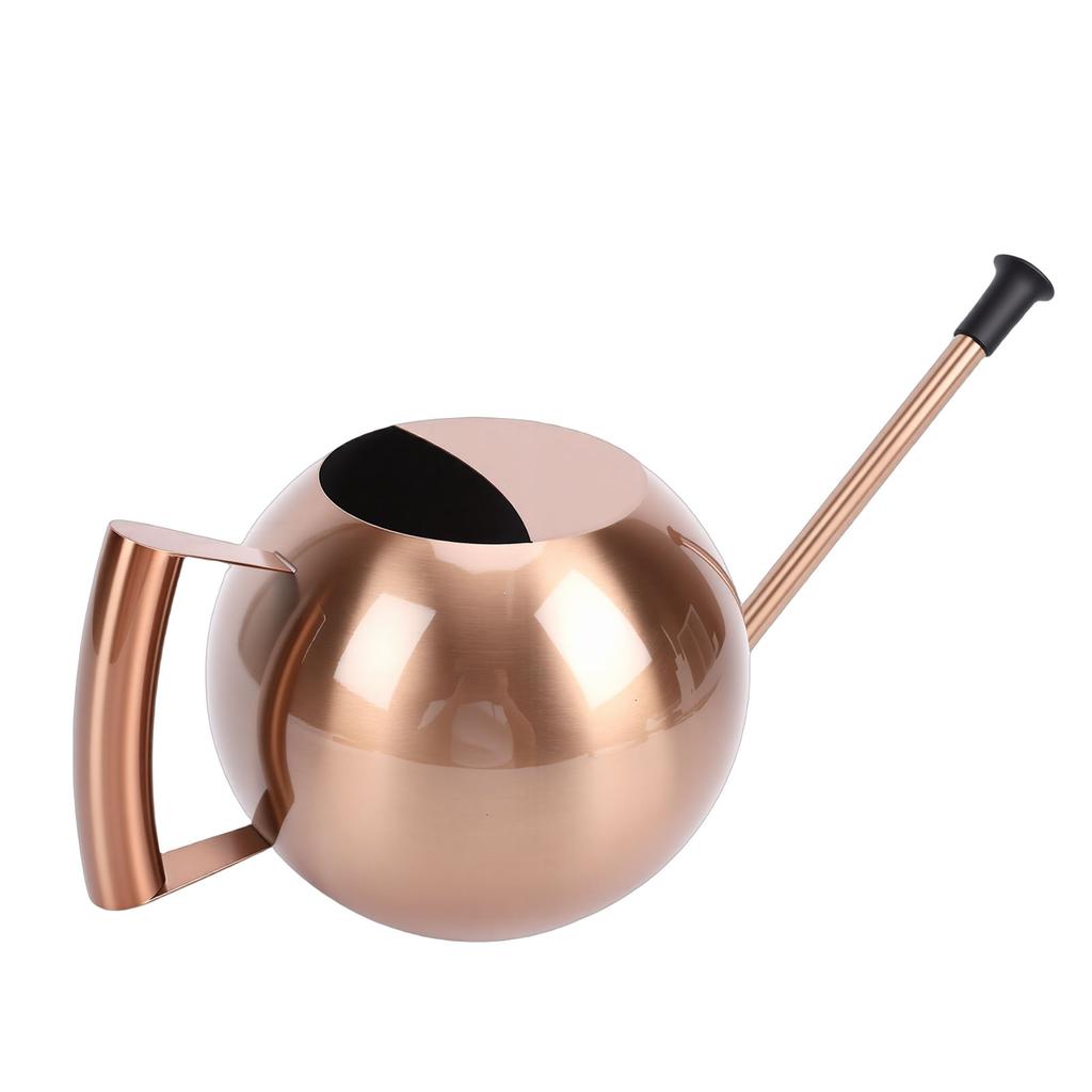 Watering Can with   Spout 1000ml Stainless Steel Round Indoor Plant Watering Can with Detachable Head for Home Garden Flower