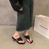 French Pinch Flip-flops Shoes Women's Shoes Summer Wear 2025 New Internet Celebrity Temperament Sandals High Heels Sandals