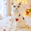 Pet Clothes Small Dogs Cats Fall Winter Soft Homewear Base Shirts Teddy Bichon