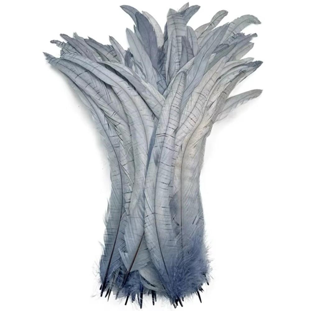 20Pcs Decorative Feather Plumes Natural Rooster Feathers Costume Feathers Costume Accessories