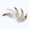 50pcs Natural Duck Feathers 8-13cm for Crafts DIY Jewelry Making Home Decoration Clothing Costume Sewing Accessory Pens Plumes