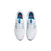 Nike Мужские кроссовки Quest 4 White Pure Platinum Imperial-Blue Multi-Color DA1105-101