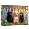 Puzzle 100 pièces : Chiots