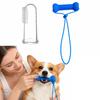 PVC Dog Dental Chews Toy Blue Dog Toothbrushing Toy  For Easier Teeth Brushing
