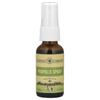 Propolis Spray, 1 Fl Oz (30 Ml)