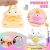 Kawaii Hamster Squishy Toy Slow-Rising Hamster Fidget Toys New Taba Squishy Toy