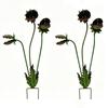 Metal Garden Stake: 25-Inch Flytrap Sculpture Whimsical Outdoor Lawn Decor for Patio Flower Beds and Yard Art,2pcs