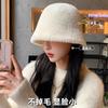 Hat Female Autumn and Winter Bucket Hat Plush Mink Bucket Hat Big Head Circumference Washbasin Hat Winter High Sense Lady