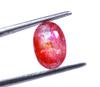 5.55 Carat Tuesday Big Offer Oval Shape Pink Sapphire Certified Sri Lanka Gemstone SN105