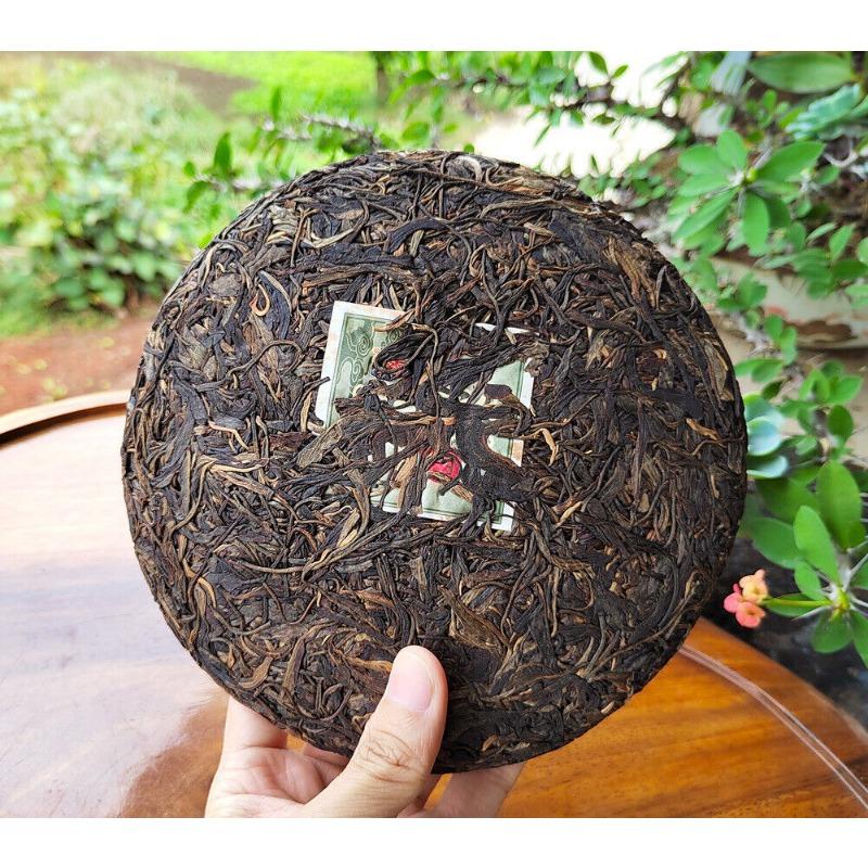 357г Юньнаньский старый сырой чай Пуэр, выдержанный в Гаолигуншане, высокогорный эко