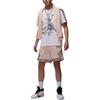 Jordan Мужская спортивная футболка Dri-FIT FZ1929-100