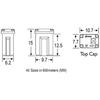 10 Pc Automotive MCASE Mini Box Shaped Cartridge Fuse Kit for Cars, Trucks, and SUVs