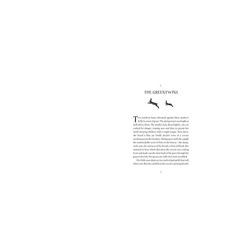 Бренд Wild Folk НОВЫЙ, Точно такой же ISBN, как указан, Пожалуйста