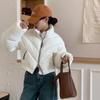 Dongdaemun short stand-up collar down jacket for women's winter 2024 new fashion small foreign style thickened bread jacket