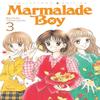 Marmalade Boy Collectors Edition 3 by Wataru Yoshizumi Paperback Book 9781638585367