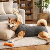 Elastic Dog Recovery Suit Breathable Pet Anti-Lick Suit Abdominal Bandages Cat Jumpsuit  Travel Use