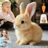 @Прыгающий Кролик Игрушка Реалистичный Робот-Кролик Симулированный Кролик Электрическая Плюшевая Игрушка Может Ходить, Лаять, Двигать Ртом, Шевелить Ушами