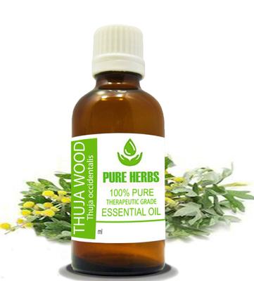 Pure Herbs Масло эфирное туи западной Thuja Occidentalis GG280.169