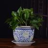 HC Ceramic Planter with Tray - Double Dragon Design