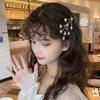 Mori Style Baby's Breath Hair Clip for Women - Korean Super Fairy Girl Bangs Side Hairpin