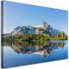 Canvas Print Forest Mountains Lake Landscape