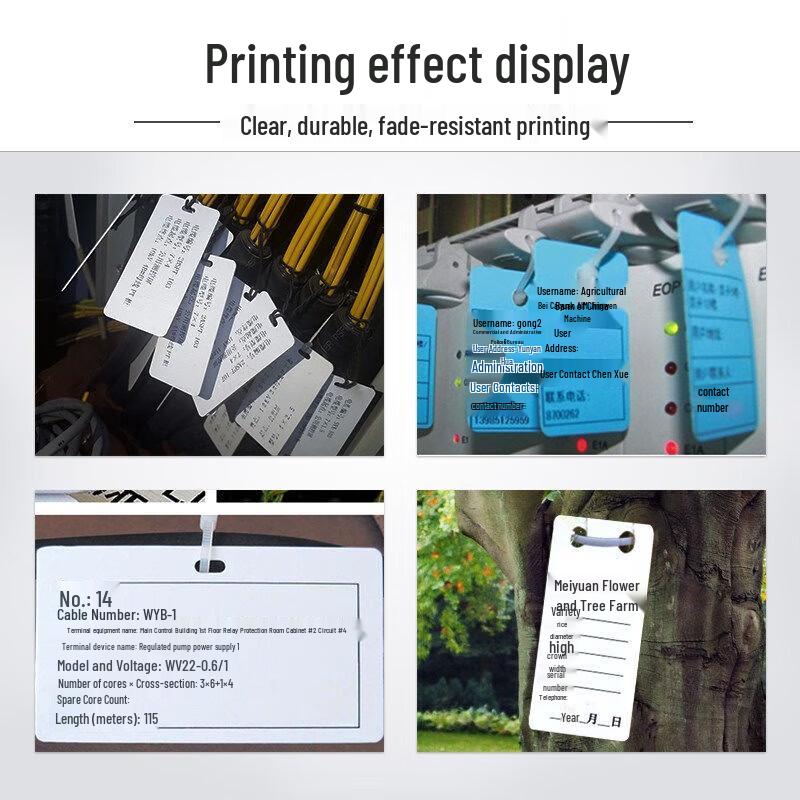 Suofang SP650 Industrial Thermal Transfer Label Printer CN plug (adapter included)