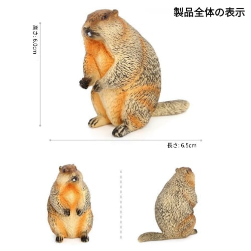 Oshhni 4-Piece Marmot Groundhog Figures, Realistic Animal Figures, Groundhog Model Toys, Birthday Gifts, Ornaments, Educational Toys for Kids, Hallowe