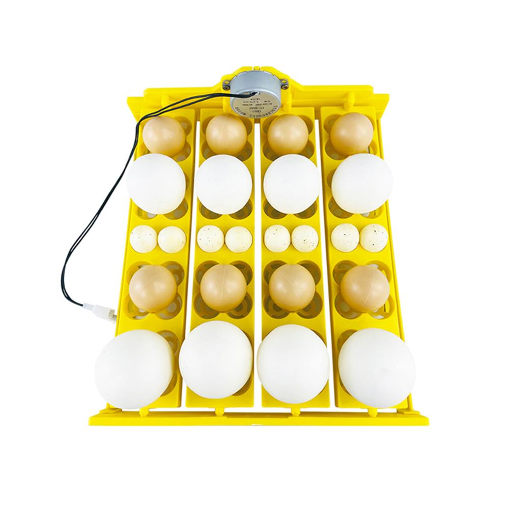Multifunction 72 Eggs Plastic Egg Tray Automatic Turn Egg for Chicken Quail Incubator Brooder Accessory for Incubator